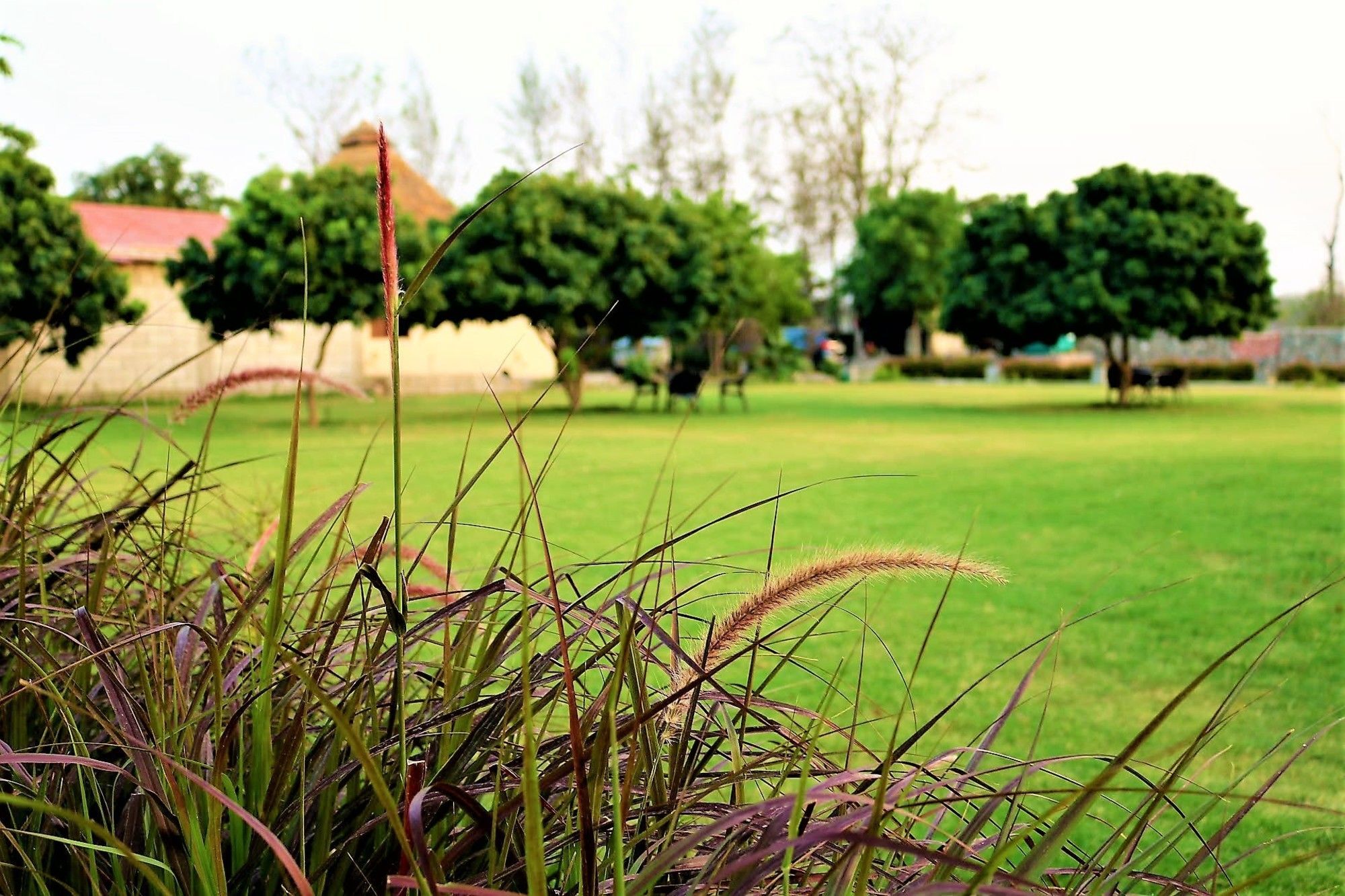 Palette Alaya Resort, Corbett Nainital Exterior foto